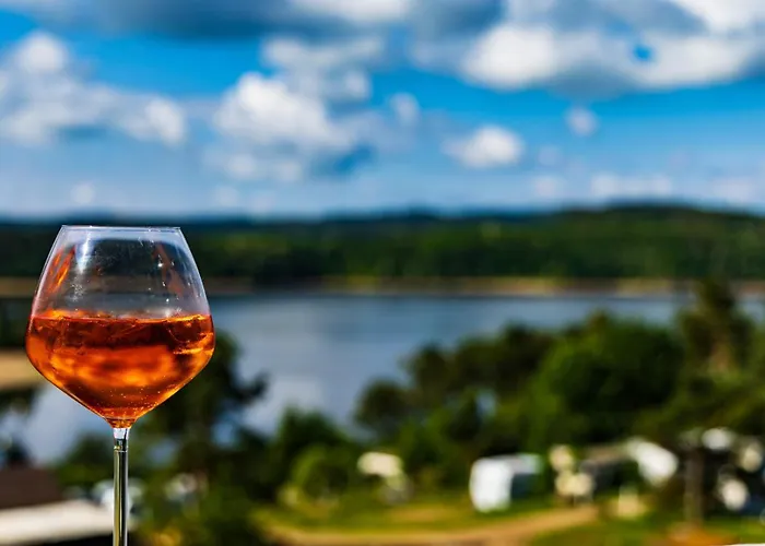 Gæstehus Panorama Orlik